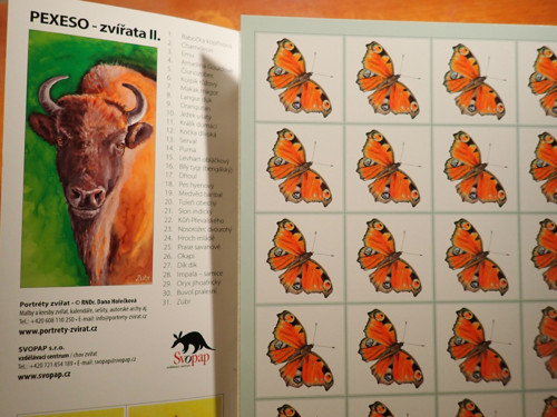 Pexeso Zvířata II. - lev — foto 4