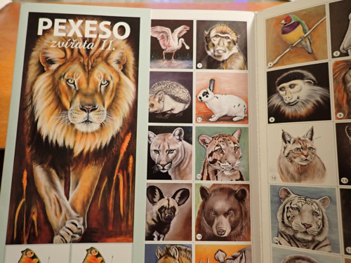 Pexeso Zvířata II. - lev — foto 2