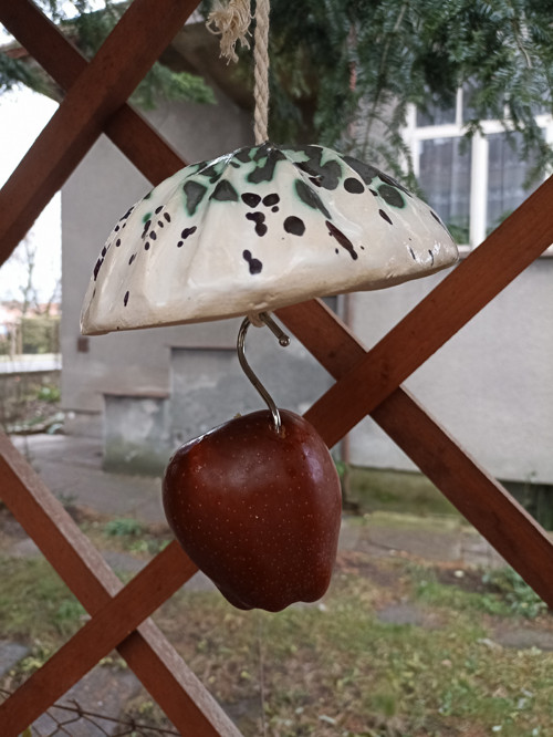Stříška pro jablko — foto 4