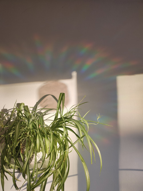 Lapač slunce suncatcher - slunce — foto 2