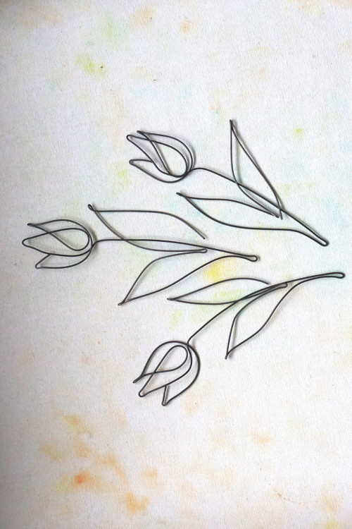 Tulipán — foto 2