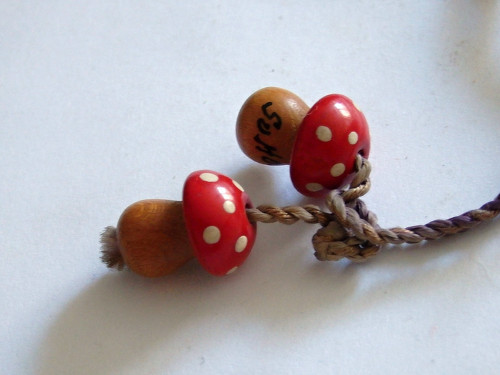 Dvě muchomůrky — foto 3