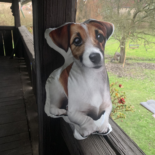 Jack Russell - 3D polštář — foto 2