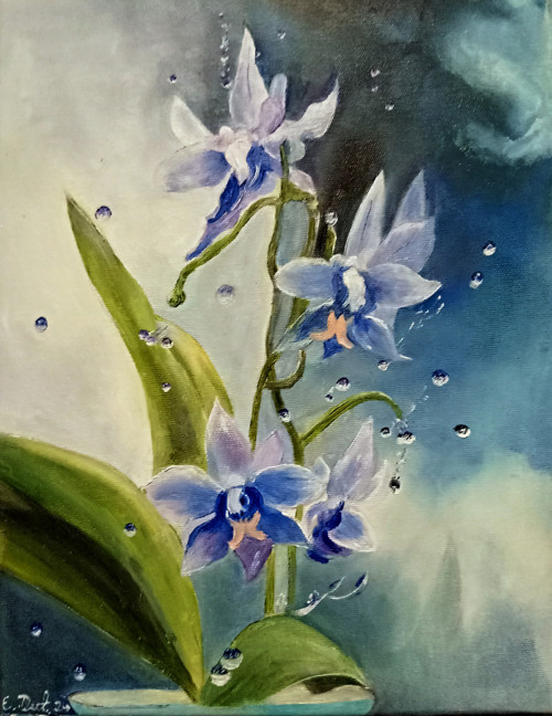Orchideje — foto 2