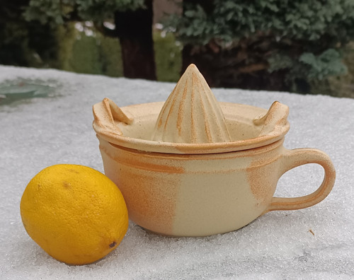 Lis na citrusy — foto 2