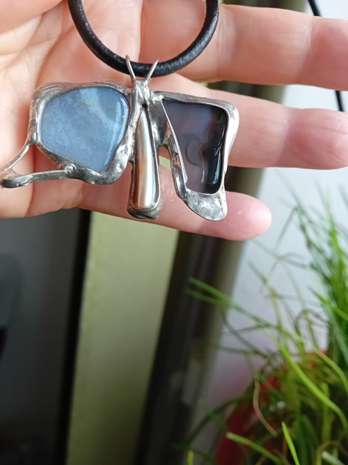 Sbírkový motýl — foto 2