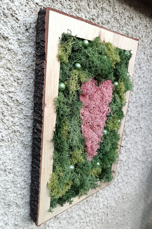 Srdce v mechu — foto 2