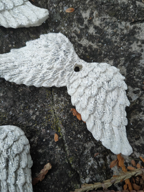 Křidýlka se třpytkami — foto 3