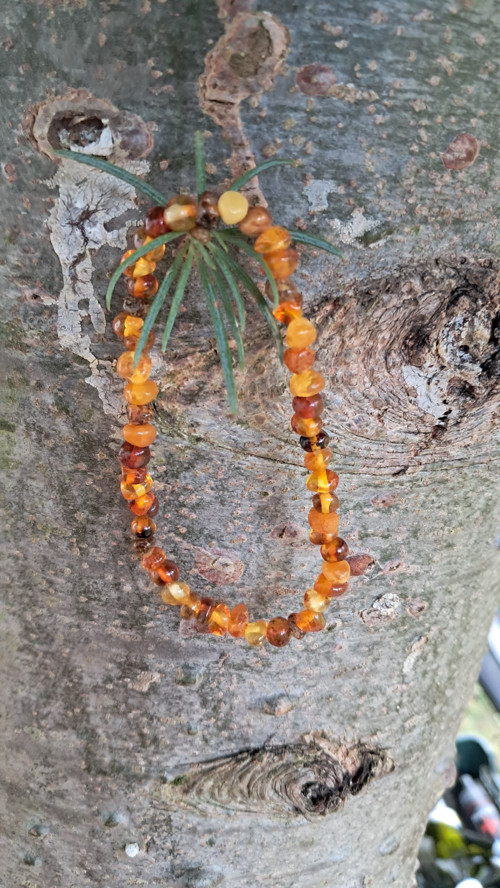 Baltský jantar koňak, med 17,5 cm — foto 6