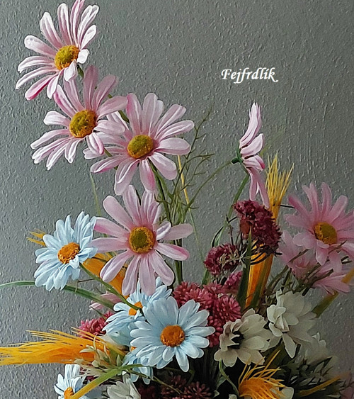 Kopretinová.. — foto 3