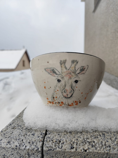 Žirafy na sněhu — foto 2