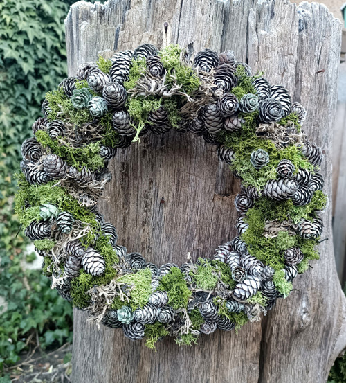 První jarní tráva — foto 3