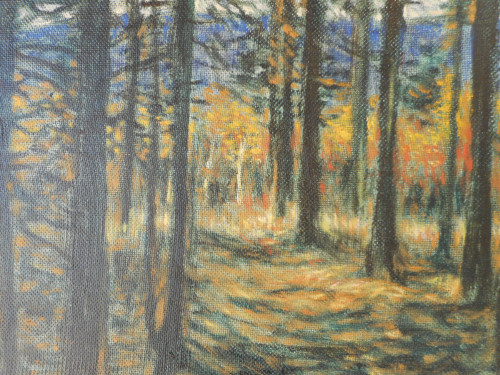 Podzimní cesta lesem — foto 3