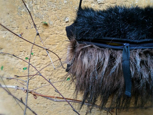 Štuclík rozcuchaný — foto 4