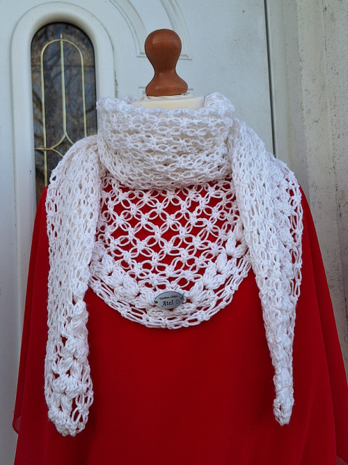 Sněhová vločka + — foto 2