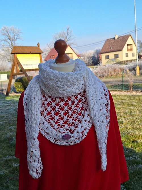 Sněhová vločka + — foto 6
