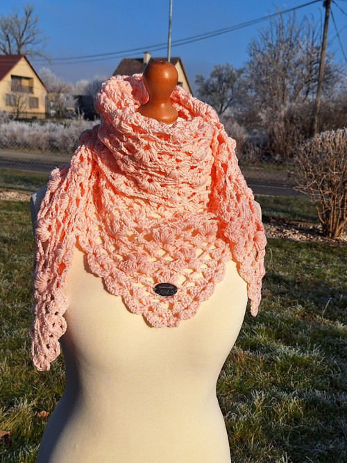 Meruňková zmrzlinka — foto 2