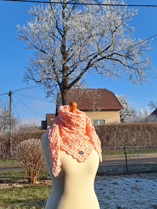 Meruňková zmrzlinka — foto 4