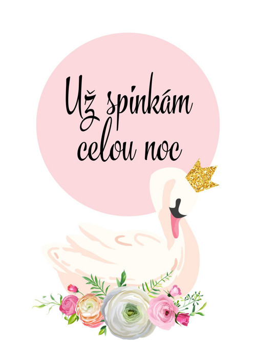 Milníkové kartičky - LABUŤ — foto 3