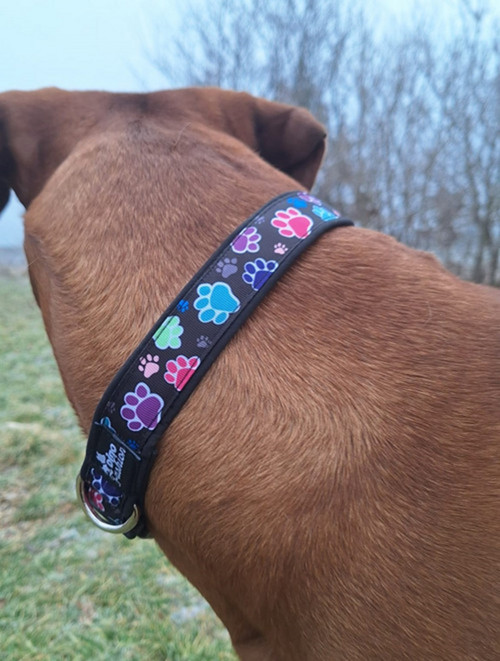 Obojek softshell Paws — foto 5