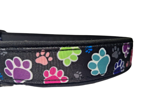 Obojek softshell Paws — foto 2