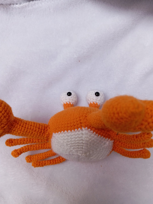 Krab Mojmír II — foto 2