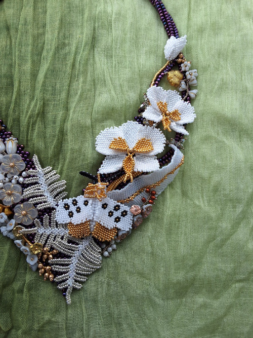 Půlnoc sluší orchidejím — foto 4