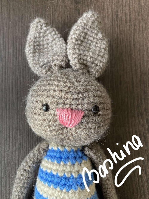Zajíc dlouhán 002 — foto 4