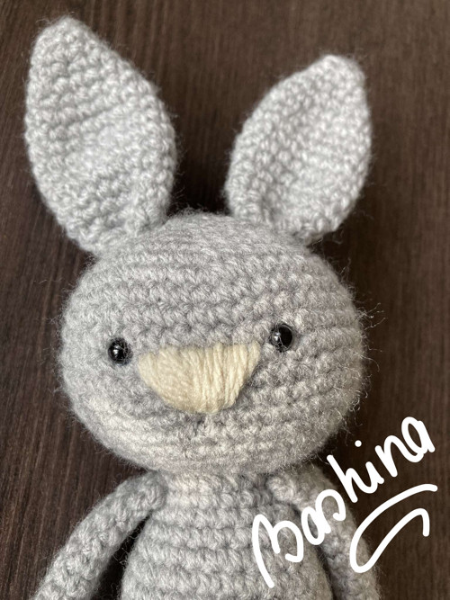Zajíc dlouhán 003 — foto 3