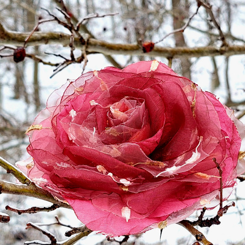 Bordeaux průměr 12 cm — foto 4