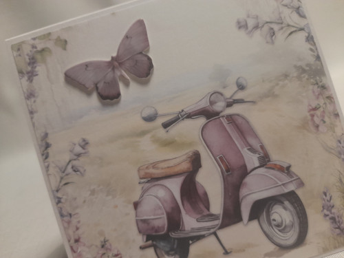 Vzpomínka na Provence II. — foto 3