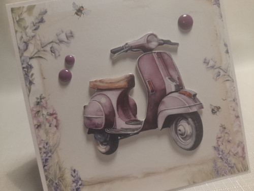 Vzpomínka na Provence VIII. — foto 3