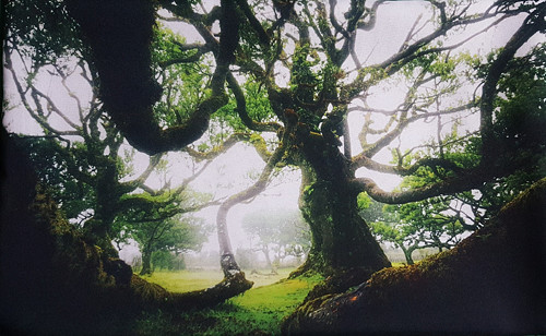 Fotopolštář „Fanal“,29x45cm — foto 5