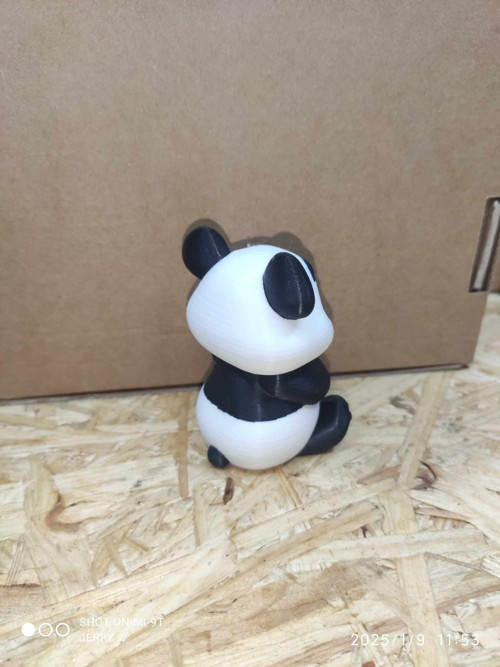 Panda — foto 4