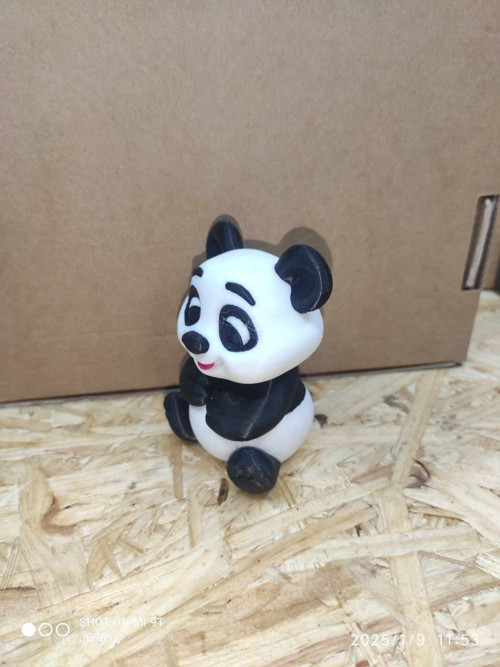 Panda — foto 2