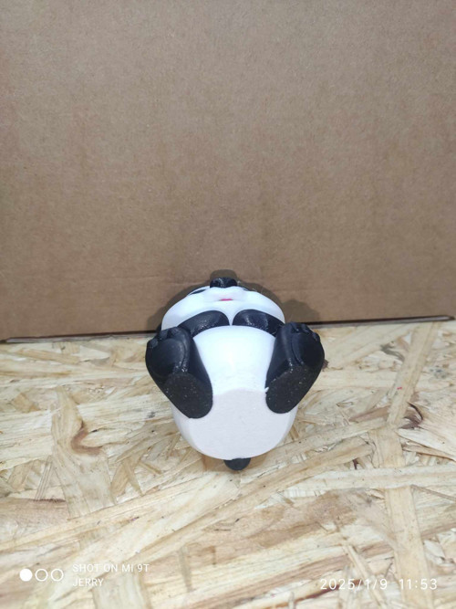 Panda — foto 5