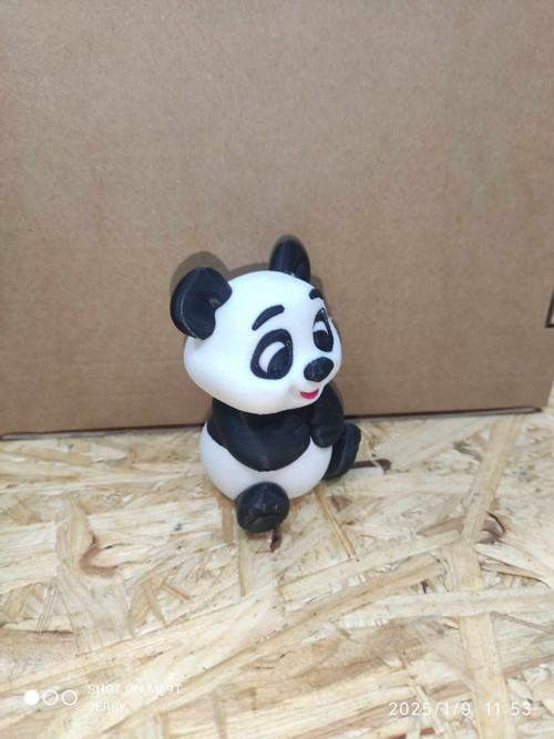 Panda — foto 3