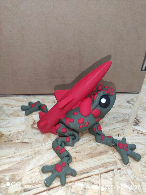Ropucha s raketou — foto 3