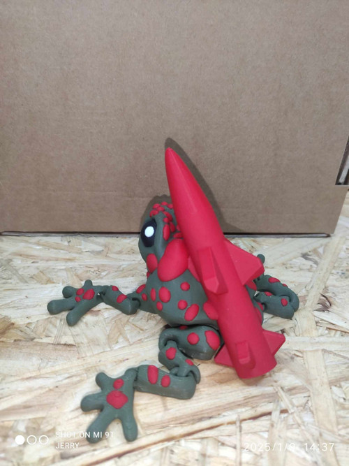 Ropucha s raketou — foto 4