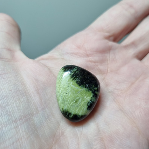 Chytha č.6 - 25x22mm — foto 2