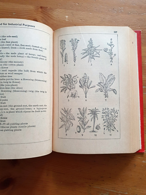 The English Duden — foto 4