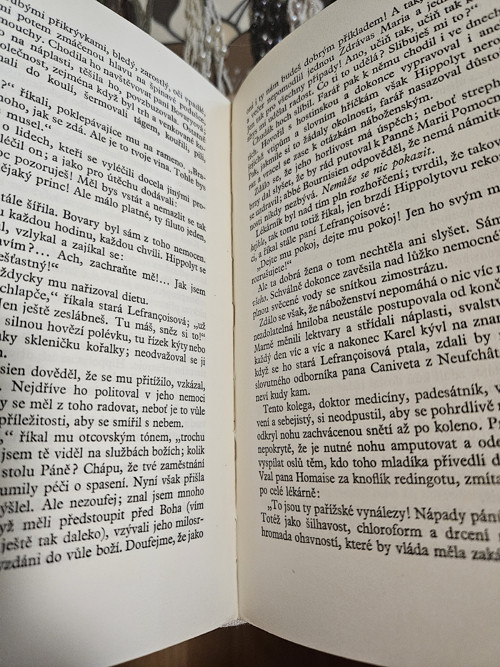 Paní Bovaryová — foto 2