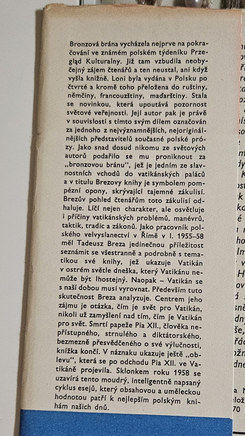 Bronzová brána — foto 4