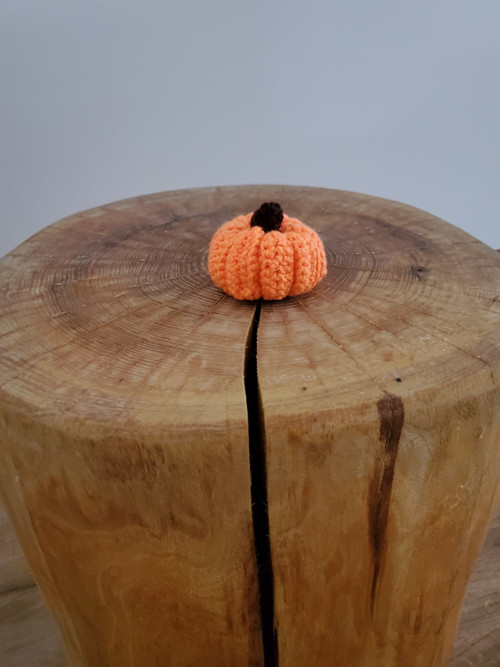 Mini dýně — foto 2
