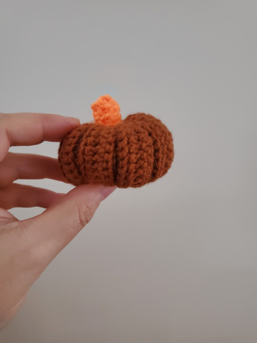 Mini dýně — foto 3