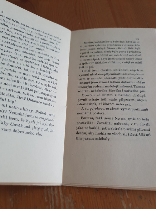 Zbojník — foto 4