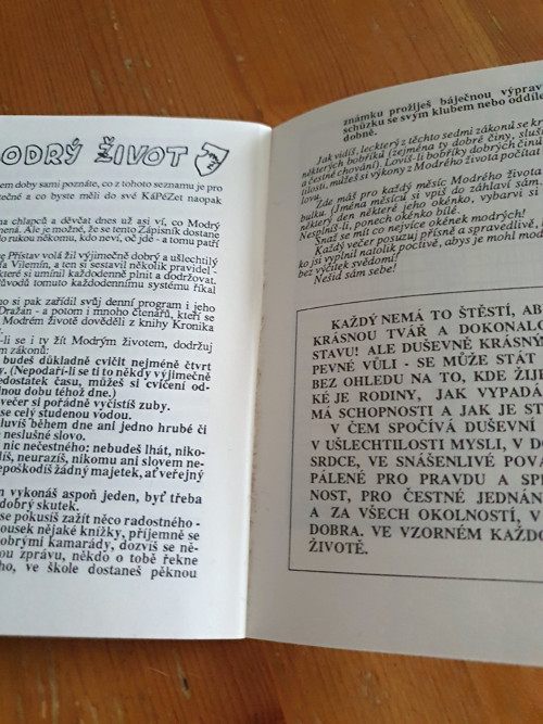Třináct BOBŘÍKŮ — foto 4
