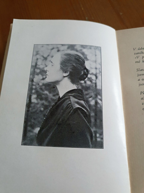 Památce Marie Trnkové — foto 2