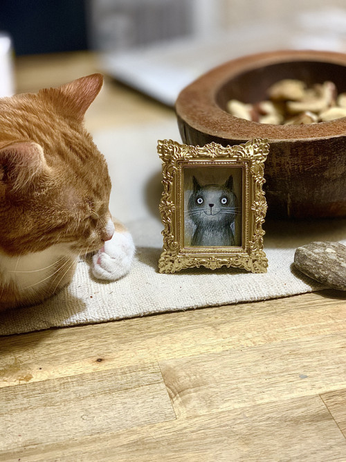 KAREL — foto 2