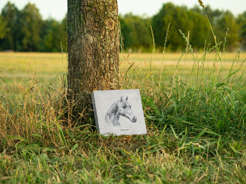 Pamětní kámen pro koně — foto 3